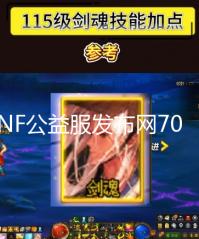 DNF公益服发布网70版本:将军阁pvf优化修复版本分享